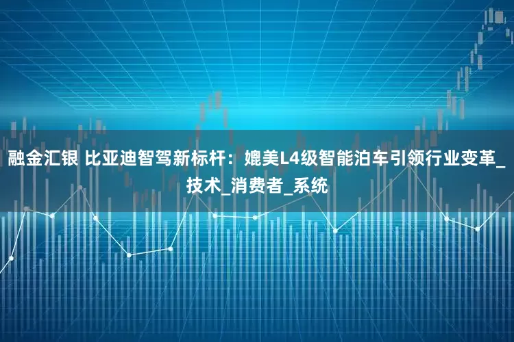融金汇银 比亚迪智驾新标杆：媲美L4级智能泊车引领行业变革_技术_消费者_系统
