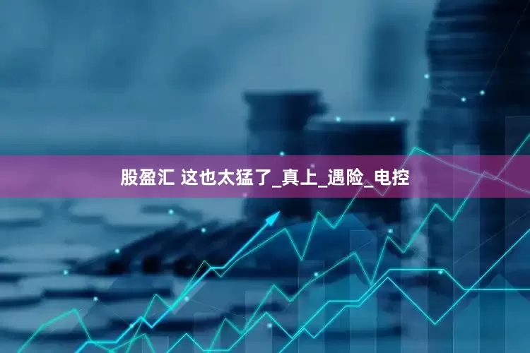 股盈汇 这也太猛了_真上_遇险_电控